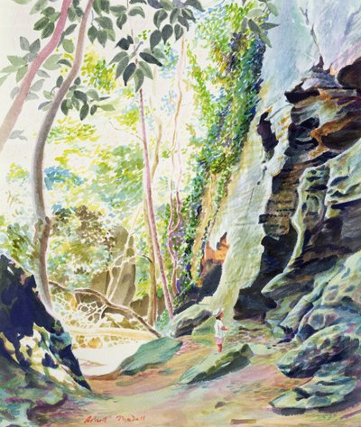 Rocks near Nowra, N.S.W. Australia by Robert Tyndall